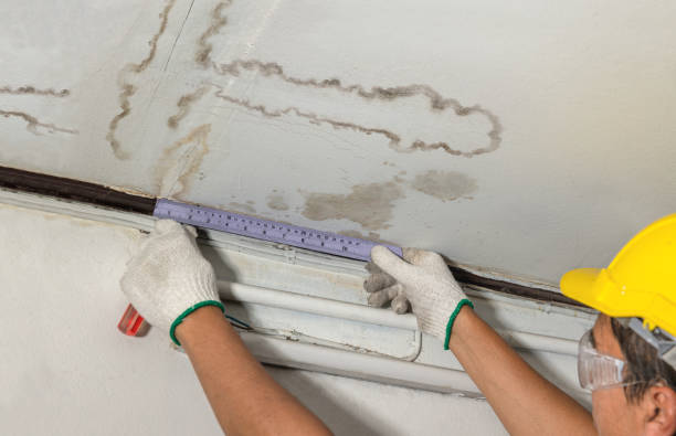 Reliable Water Damage Repair contractor in Ward, CO by Aqua Guard Water Damage